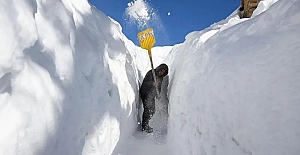 Isınan dünyada neden bu kadar çok kar yağıyor?