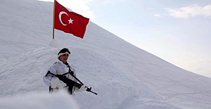 Şair ÖMER EKİNCİ MİCİNGİRT yazdı: "Mehmetçik"