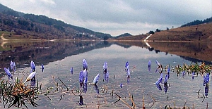 Baharın ikinci müjdecisi yolda: Cemre suya düşecek