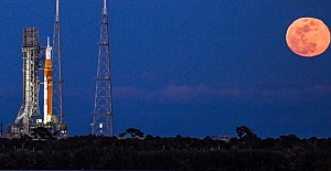 Bilim insanlarından "uzayda üreme" çağrısı: "Acil işbirliği gerekli"