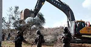 İşgalci İsrail, Batı Şeria'da 777 ağacı sökerek 761 bin dolarlık zarara yol açtı