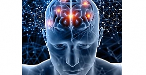 Beynin Temizlik Dengesi Bozulursa Öğrenme de Etkileniyor