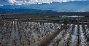 Bursa'da 3 gün süren sağanak Gürsu Ovası’nı su altında bıraktı