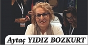 AYTAÇ YILDIZ BOZKURT yazdı: "Kifayetsiz Muhterisler"
