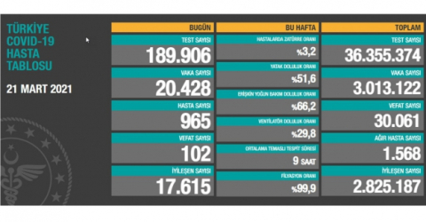 Korona salgınında risk ve endişeler sürüyor: Toplam can kaybı 30 Bini aştı