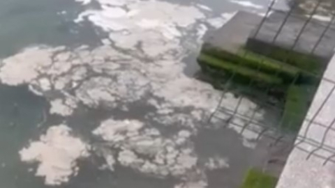 Mudanya Kıyılarında müsilaj istilası, deniz beyaz tabakayla örtüldü