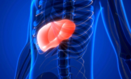 Karaciğerin sessiz düşmanı: Hepatit