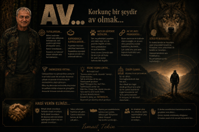 İSMAİL TEKİN yazdı: "AV..."