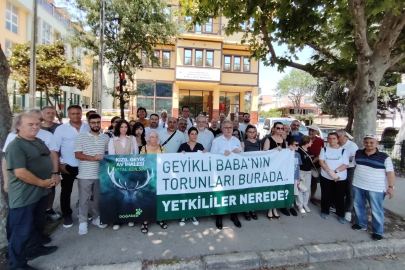 Bursa'da kızıl geyiklerin av ihalesine tepki!