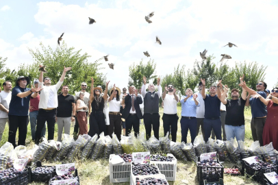 Ankara'da doğaya 600 keklik ve bıldırcın