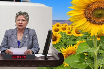 CHP Milletvekili Nurten Yontar: Ayçiçeğinde üretici tarlasını değil, zararını biçiyor